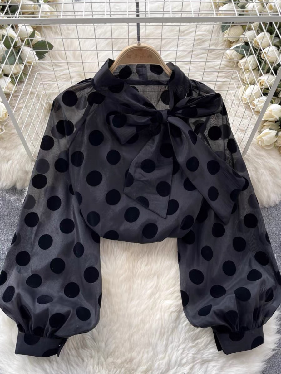 Seffani polka blouse BE157 image